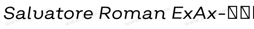 Salvatore Roman ExAx字体转换